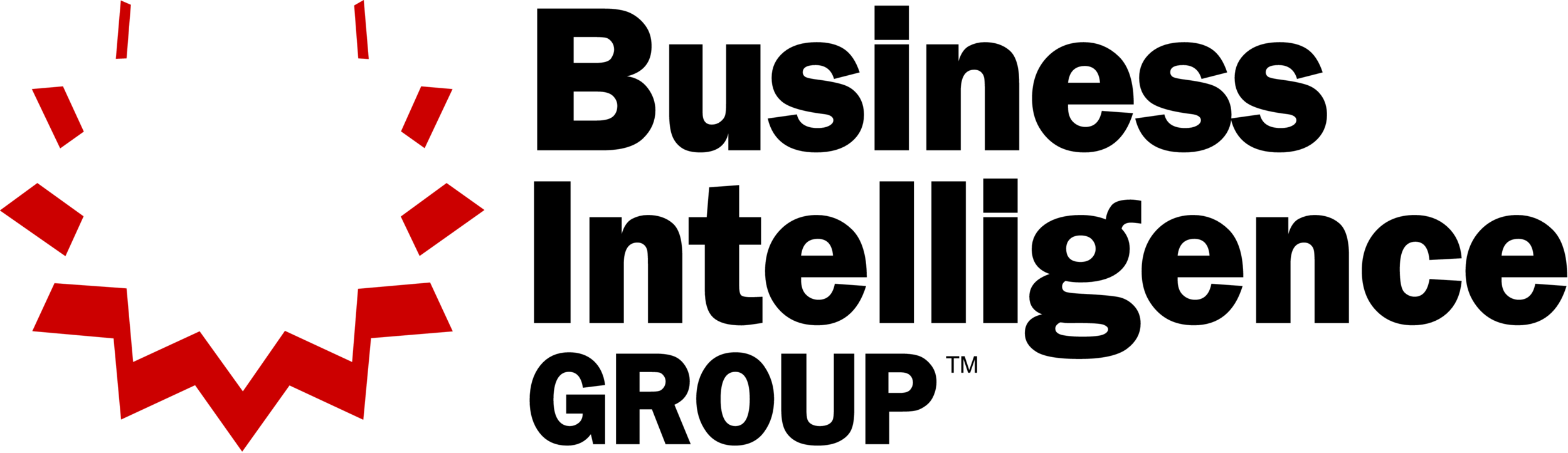 Business+Intelliugence+Group+Logo-PNG